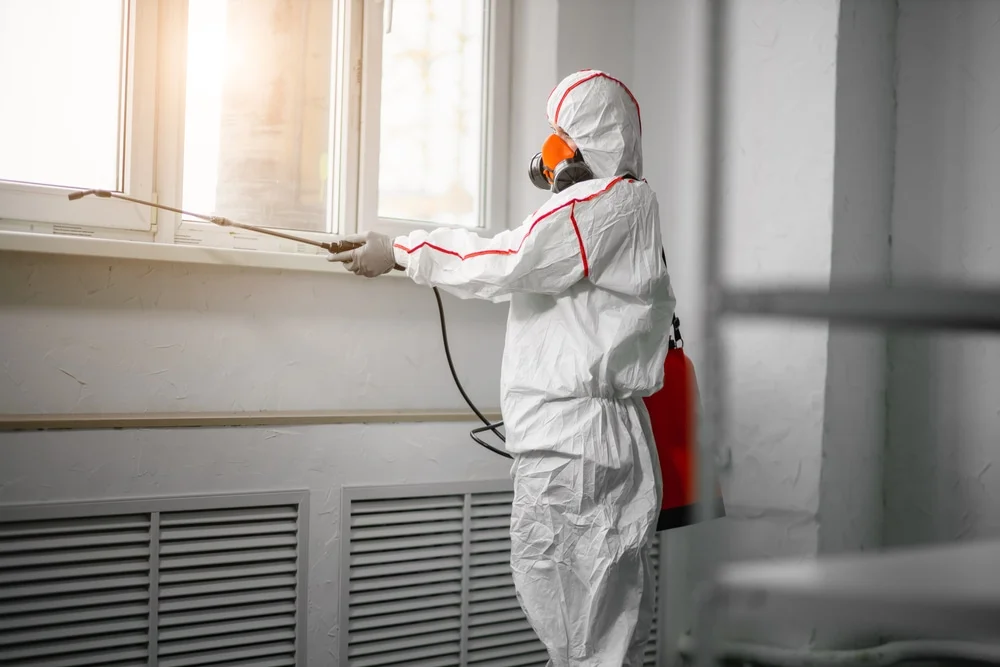 Professional mold remediation services in Oakley, UT